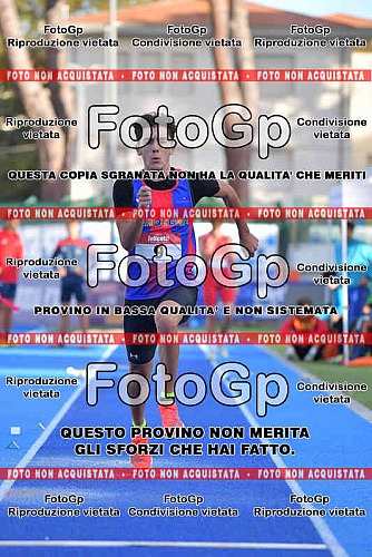 senza carrello